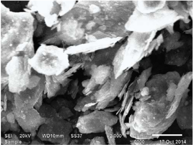 Hình ảnh chụp kính hiển vi điện tử quét (SEM) của nguyên liệu graphite Việt Nam